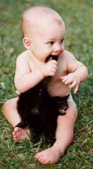 baby_cat.jpg