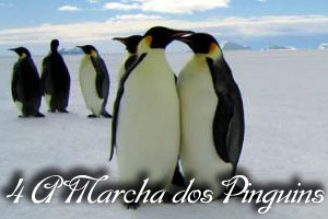 Pingvinenes_marsj_94656o.jpg