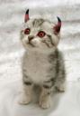 cutefromhell.jpg