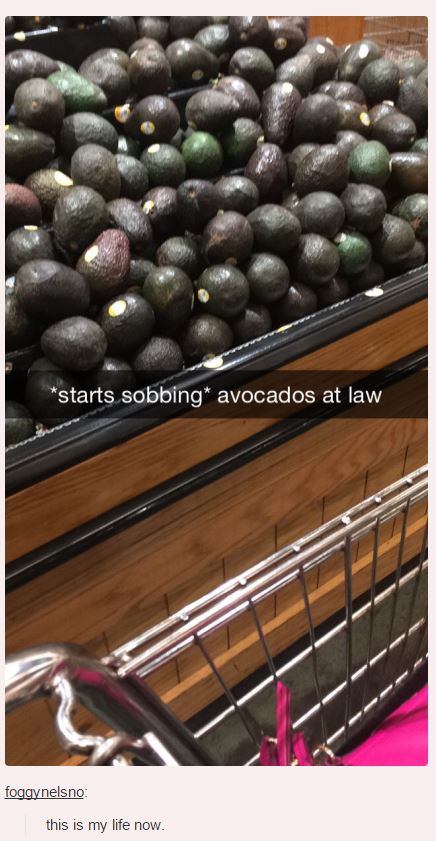 avocados